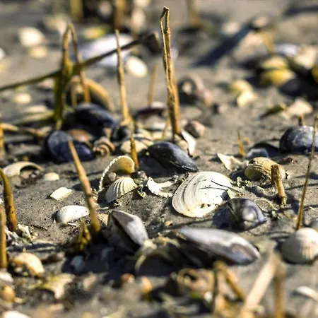 8959-orsted-klydevej-9 Vakantiehuis Estruplund